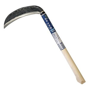 �L���{�V(Kinboshi) ���� �b��������(���n�E�|�t)180�~�� 1869