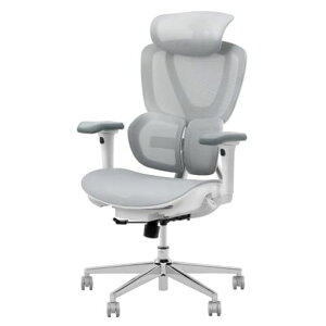 FLEXISPOT �I�t�B�X�`�F�A �f�X�N�`�F�A C8 �l�ԍH�w �G���S�m�~�N�X�`�F�A ���b�V���`�F�A 2WAY�����K�������o�[�T�|�[�g �w������̍������� �V���N�����b�L���O 3�i�K�Œ� ���ʉ��s���� 3D�c