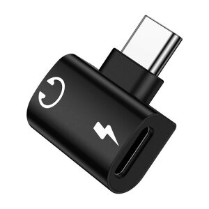 Type C to Type C �C���z���ϊ� �A�_�v�^�[ 2in1 �^�C�vC �C���z���W���b�N DAC���� Hi-Fi���� PD 60W �}���[�d �����g�p�\ ���ʒ��� �����ʘb iPhone17/16/15/iPad/Android/Type C�Ή�
