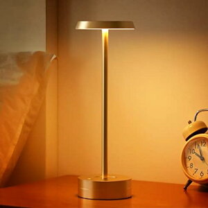 GOVSSING ԐڏƖ  e[uv obe[cʕ\ LEDCg ^C}[@\ 4000MAH [d ドCg 3ސF iK X^h fXNCg R[hX @\ iCg