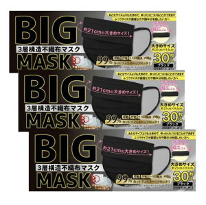 BIGMASK傫߃}XN30x3rbOTCYOwsDz}XN21cmLS6mm