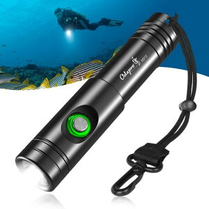 OdeproWD12IPX8Max1050���[�����_�C�r���O���C�g�������C�g�v���d�l�����P�x���������d��IP68�h������100���[�g���g�p�\