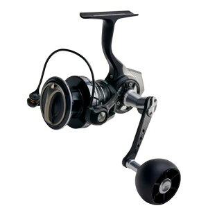 AbuGarcia (�A�u�K���V�A) Roxani SP 3000MSH ���L�T�[�j �X�s�j���O���[�� 24�N���f��