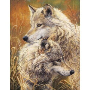 JISHSHAY_ChA[glpr[YS40x50cmT_ChA[gSʓ\t^Cv5d_ChA[gUCNr[Y|iLbg_Ch̊GXNGAA[gXNGc