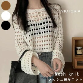 ［秋スマイルタイムセール］メッシュ ニット トップス レディース 長袖 透かし編み 小さめ トップス クルーネック カットソー 無地 きれいめ ブラック 黒 ホワイト 白 ブラウン オススメ 【メール便】 [M便 1/1] 22F27814