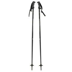 【10％OFFクーポン 12/4 - 12/11迄】サロモン（SALOMON）（メンズ、レディース）スキーポール NORTHPOLE LADY 20 405601