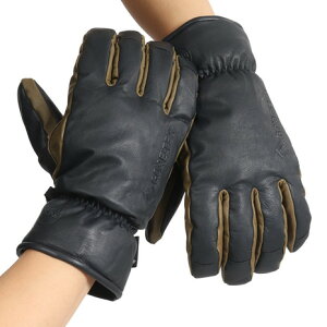 RriKOMBIjiYjXm[O[u ܎wO[u 22LVG-GTV-06 SAebNX GORE-TEX