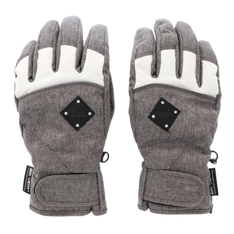 その他ブランド（OTHER BRAND） スキー スノーボード グローブ 手袋 レディース ETERNAL PROGROSS スノーグローブ 329P1SN5005 GRY 手袋 （レディース）