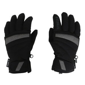 VgCiSTREULEjifB[XjLALA O[u ST24FGR0028