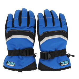 Xm[EFCuiSNOW WABEjiLbYjXL[ Xm[{[h Xm{ h {[CY ܎wO[u 22SW002B BLU Obv ɂ