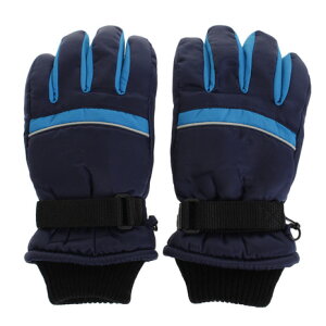スキー 手袋 ブランドの人気商品 通販 価格比較 価格 Com