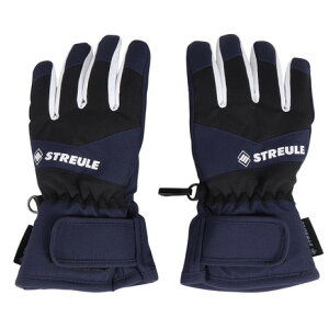 VgCiSTREULEjiLbYjWjA q O[u XL[ Xm[{[h ST24FGR0029