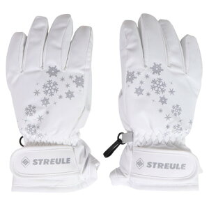 VgCiSTREULEjiLbYjWjA q O[u XL[ Xm[{[h ST24FGR0031