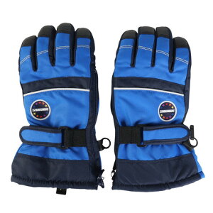 Xm[EFCuiSNOW WABEjiLbYj{[CY EC^[O[u 23SW-2590KBG BLU