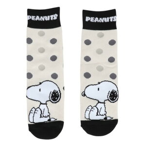 �x�X�v�iVESP�j�i�L�b�Y�j�W���j�A �\�b�N�X SNJK2012BK