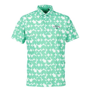 LEFCiCALLAWAYjiYjStEFA z 􉽊wvg RpNg ̎qVc C24134112-1130