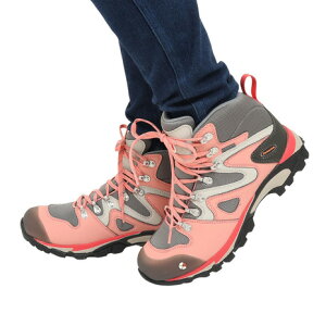 LoiCaravanjifB[XjSAebNX gbLOV[Y C4-03 0010403-231 oR oRC