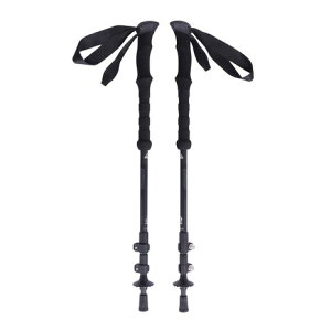 O[qiGROWHILLjiYAfB[XjgbLO|[ J[{XebL GTP001ICBW XgbN oR