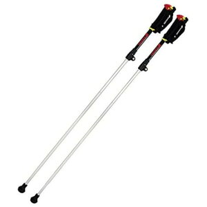 VimiSINANOjiYjy RpNg݌v \ SIL REVITA Portable + r[^E|[^u+ Vo[ EH[LO|[ XgbN