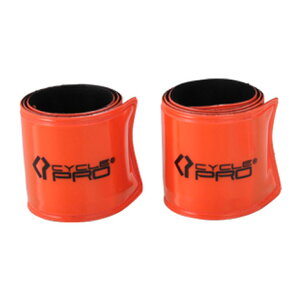 TCNviCYCLE PROjiYjNNoh lI CP-RB2319 ] Y{oh