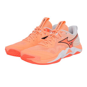 �~�Y�m�iMIZUNO�j�i�����Y�A���f�B�[�X�j�o���[�{�[���V���[�Y �E�G�[�u���[�����^�� �G���[�g WAVE MOMENTUM ELITE V1GA251280