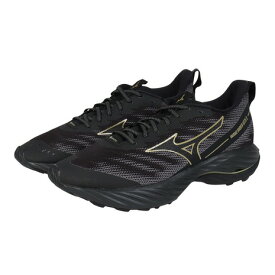 ミズノ（MIZUNO）（メンズ、レディース）ランニングシューズ ジョギングシューズ ウエーブライダーGTX 2 J1GC248201