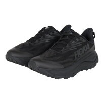 楽天市場】challenger low gtx wideの通販