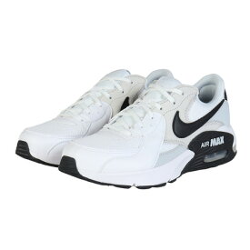 ナイキ（NIKE）（メンズ）スニーカー スポーツシューズ エアマックス エクシー FN7304-100