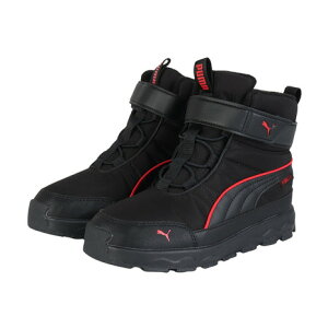 v[}iPUMAjiLbYjLbY G{u sAebNX u[c ubN bh 39264906 X|[cV[Y