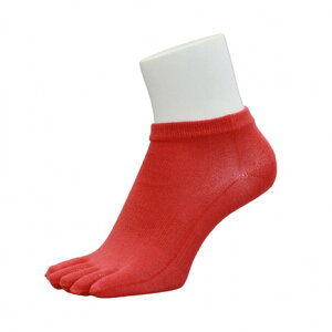 CgCGbNXiitoixjiYj5{w\bNX V[g PSO