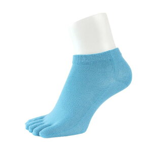 CgCGbNXiitoixjiYj5{w\bNX V[g PSO