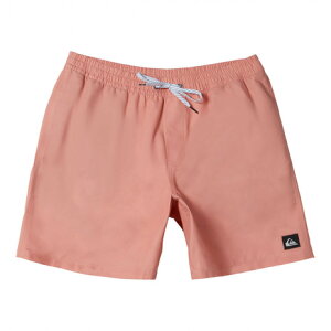 �N�C�b�N�V���o�[�iQuiksilver�j�i�����Y�j���� EVERYDAY SOLID VOLLEY 19 �{�[�h�V���[�c 24SP AQYJV03155