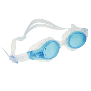 r[iVIEWjifB[XjXCv S[O V820SA AMIBL