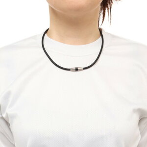 t@CeiPHITENjiYAfB[XjC`^lbNX 0217TG743252