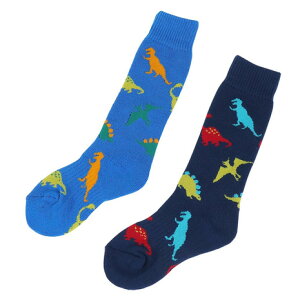 GA{[iARBNjiLbYjWjA HEAT-X N[\bNX BLU/NVY  2g AB43AC1589 BLU15 h