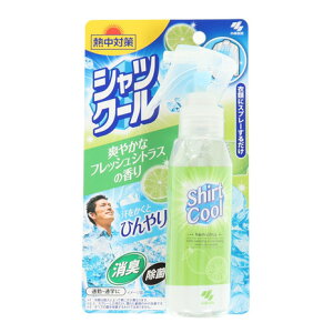 ѐiKobayashi PharmaceuticaljiYAfB[XjM΍ VcN[ u₩ȃtbVVgX̍ 100ml ΍ p Ђ