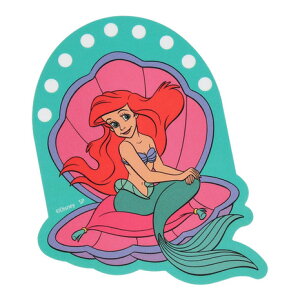 DISNEYiDISNEYjiYAfB[XALbYjLN^[XebJ[ gE}[Ch AG SMP DS1250