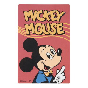 DISNEYiDISNEYjiYAfB[XALbYjLN^[XebJ[ fBYj[LN^[ ~bL[}EX g|X^[ SMP DS2192