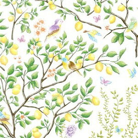 楽天市場 Lemon Treeの通販