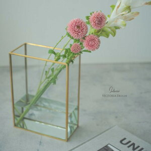 t[x[X KX ԕr /S[ht[t[x[X (N^OL) / Ԋ  CeA fBXvC ֑} ԕr IuWF ܂Ƃߔ Ɩp