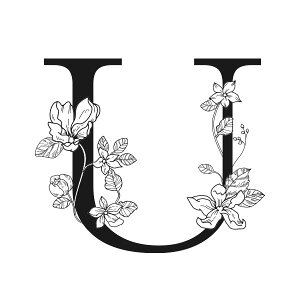 Rbv Jbv }OJbv R[q[Jbv At@xbg H ܂Ƃߔ Ɩp v[g 킢 Mtg j a zCg LOi V t INSTAGRAMfڏi  / CjV