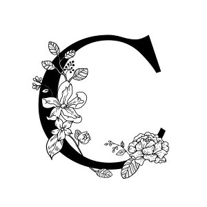 v[g Mtg }OJbv a  ̓ At@xbg ܂Ƃߔ Ɩp Instagramfڏi  / CjV}OIII(BOXt)