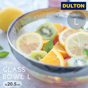 DULTON _g mH {E KX Vo[  T_{E Lb` ܂Ƃߔ Ɩp Instagramfڏi V NX}X / Vo[KX{E(LTCY)