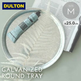 DULTON ダルトン ガルバナイズド ラウンド トレイ(M) / インテリア トレー おぼん アンティーク調 ヴィンテージ風 まとめ買い 業務用 Instagram掲載商品