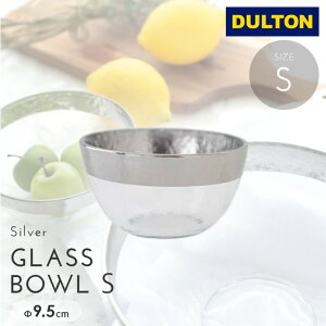 DULTON _g mH {E KX Vo[  T_{E ܂Ƃߔ Ɩp Lb` Instagramfڏi V NX}X / Vo[KX{E(sTCY)