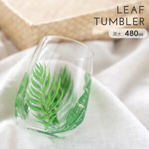 [t^u[/ e[uEFA H  ܂Ƃߔ Ɩp ^u[ KXRbv AEgbg (Ȃ莟I)