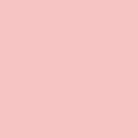 ポーセラーツ 転写紙 カラー COLOR CORAL BEACH (単色・コーラルビーチ) pink