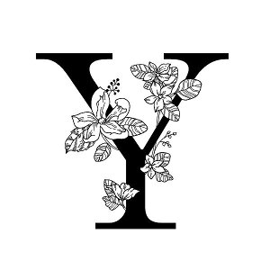 Rbv Jbv }OJbv R[q[Jbv At@xbg H V  ܂Ƃߔ Ɩp/ CjV}O iBOXj