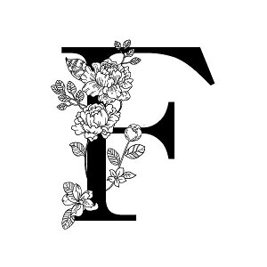 Rbv Jbv }OJbv R[q[Jbv At@xbg H V  ܂Ƃߔ Ɩp/ CjV}O iBOXj