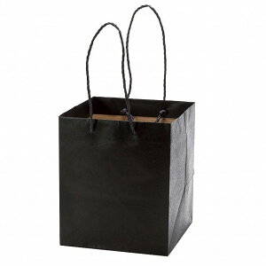 Vbp[ y[p[obO Mtg v[g bsO ܂Ƃߔ Ɩp a (ubN)(M) (Ȃ莟I)black